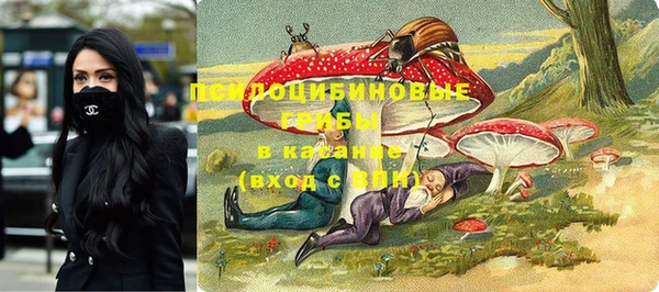 ALPHA PVP Новодвинск