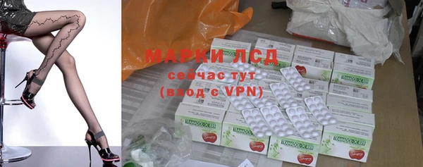 твердый Новозыбков