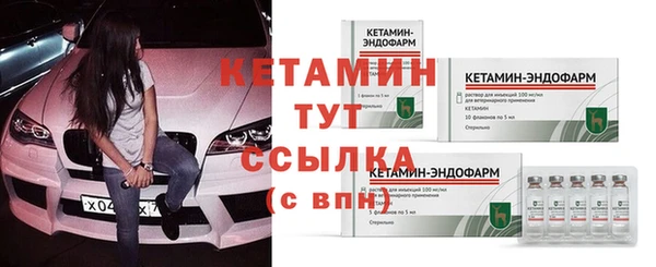 твердый Новозыбков