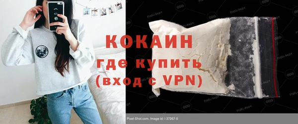 твердый Новозыбков