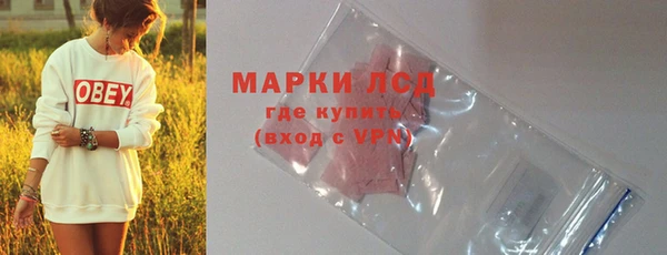 твердый Новозыбков