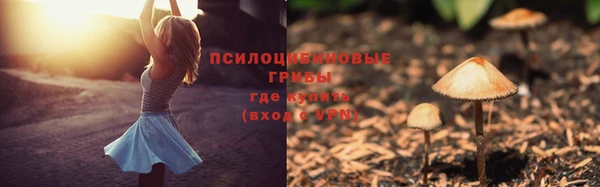 каннабис Новокубанск