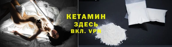 твердый Новозыбков