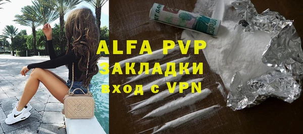 твердый Новозыбков