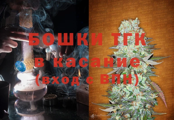 твердый Новозыбков