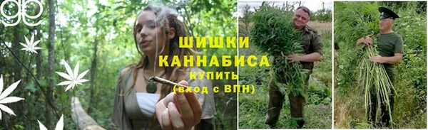 ALPHA PVP Новодвинск