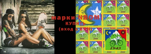 твердый Новозыбков