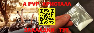 стаф Заводоуковск