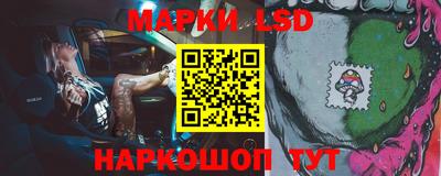 стаф Заводоуковск
