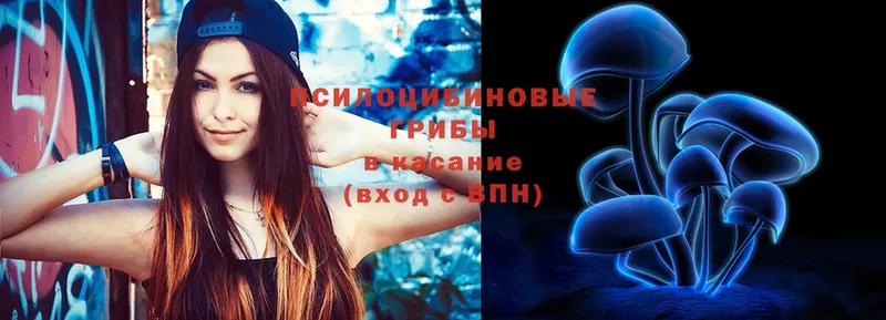 Псилоцибиновые грибы Magic Shrooms  сколько стоит  Краснокаменск 